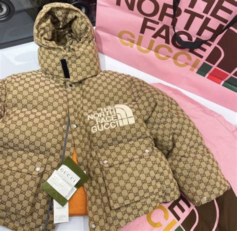 the north face gucci moncler|north face gucci collection prices.